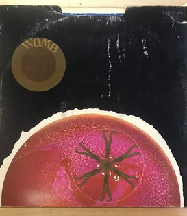 Womb - Womb - DLP25933 - Vinyl LP (USED)