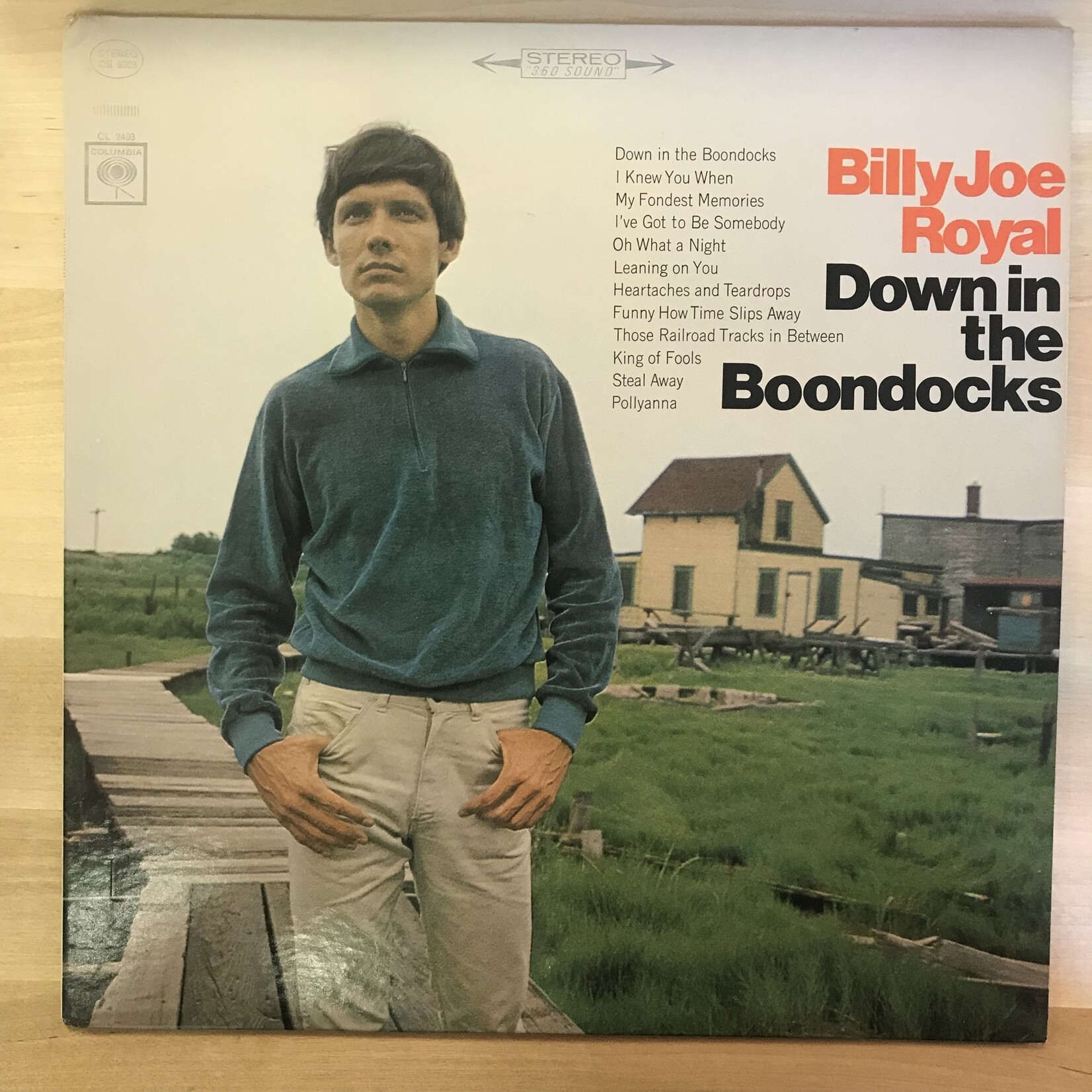 Billy Joe Royal - Down In the Boondocks - CS9203 - Vinyl LP (USED)