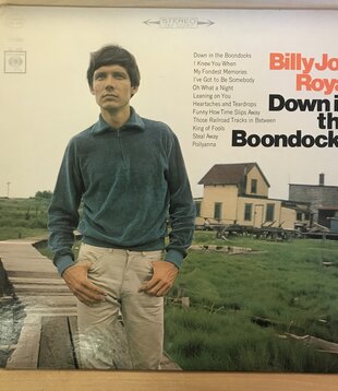 Billy Joe Royal - Down In the Boondocks - CS9203 - Vinyl LP (USED)