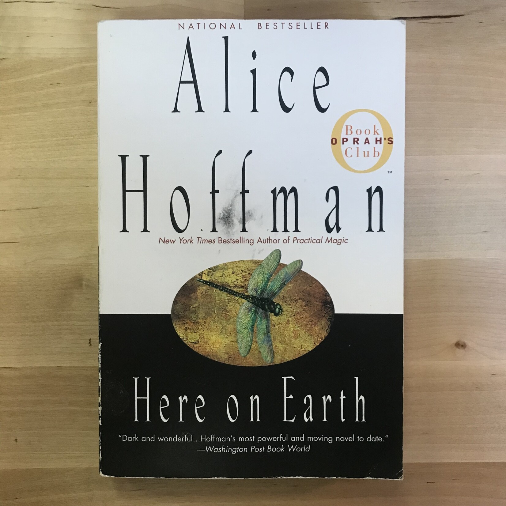 Alice Hoffman - Here On Earth - Paperback (USED)