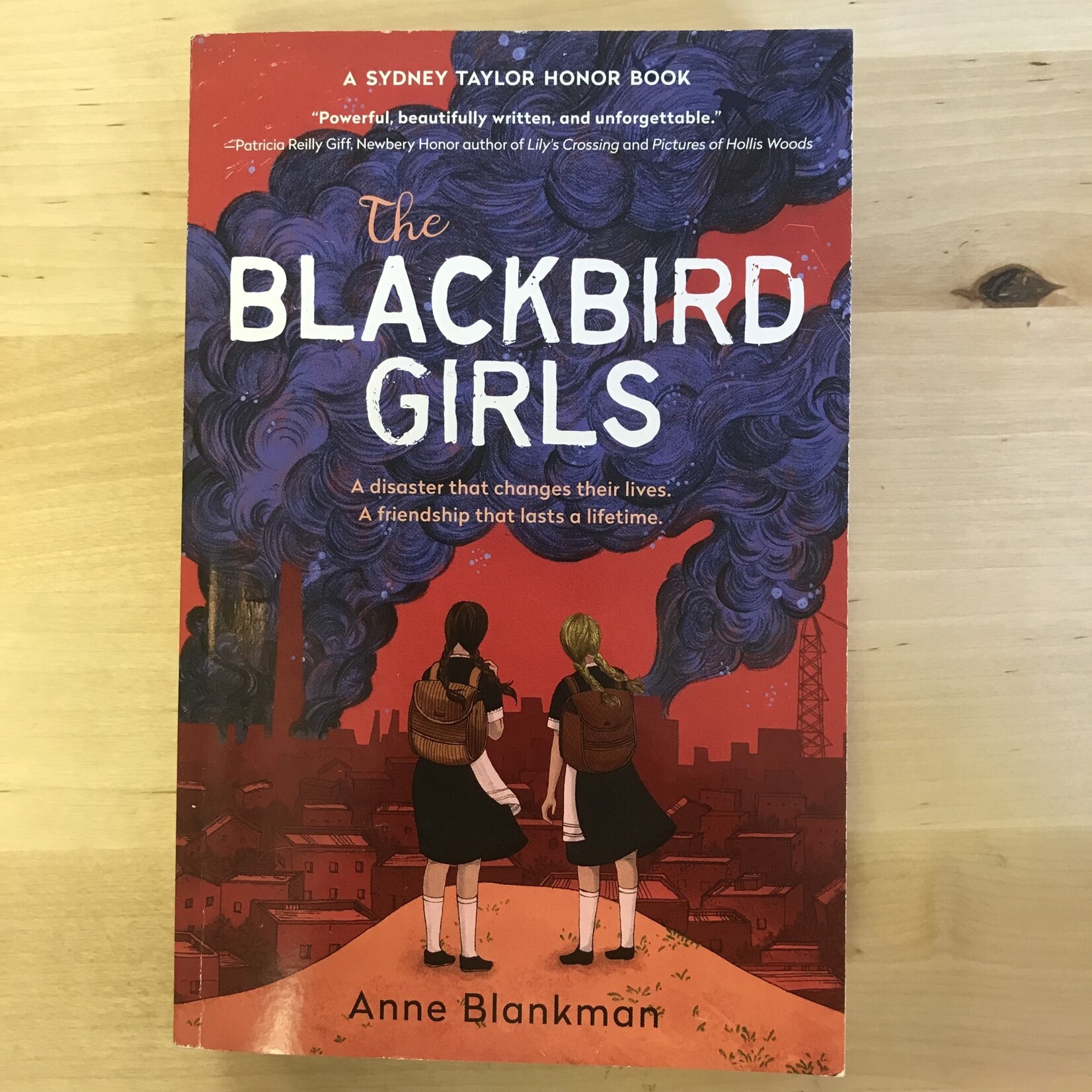 Anne Blankman - The Blackbird Girls - Paperback (USED)