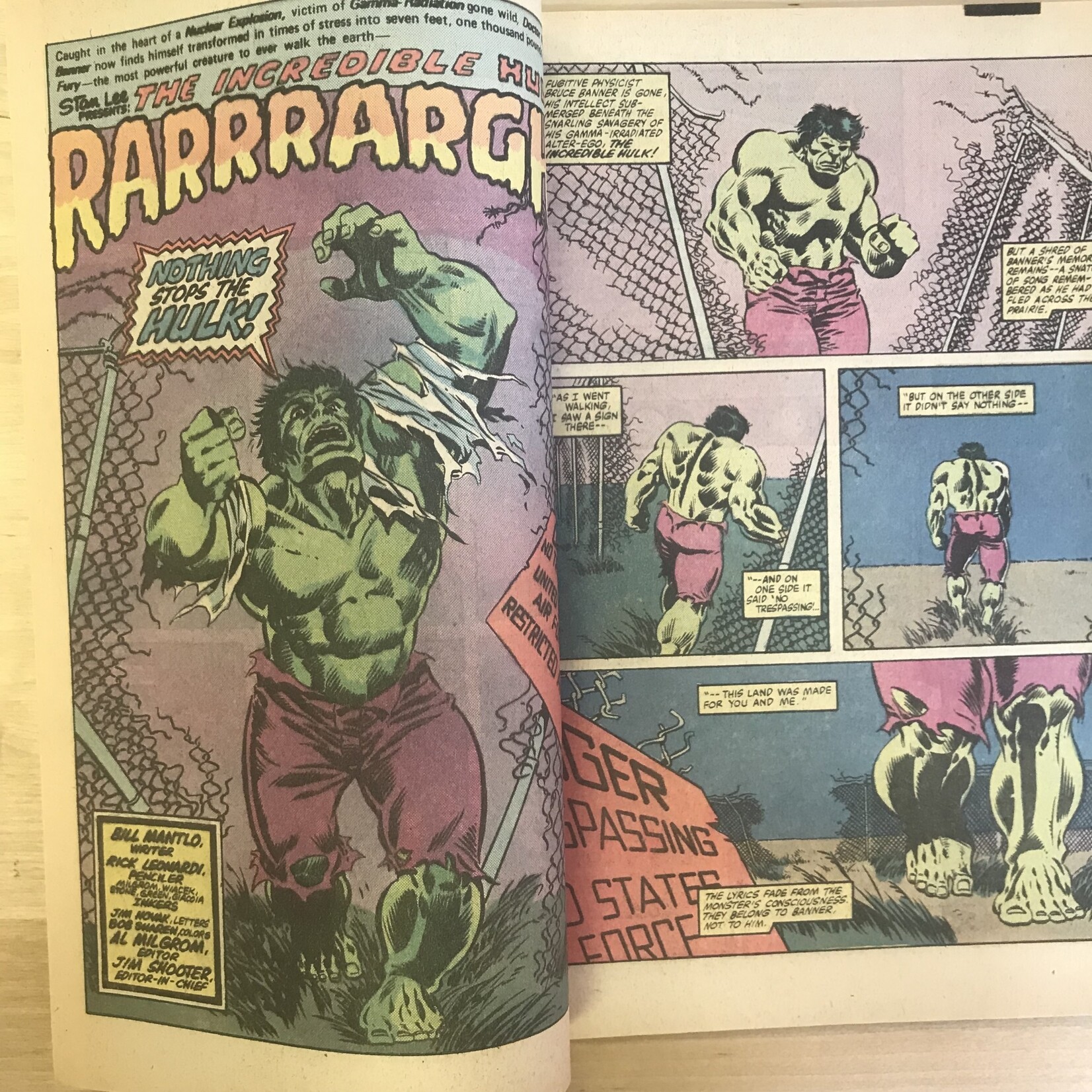 Hulk - Incredible Hulk Annual - #10 (1981) - Comic Book