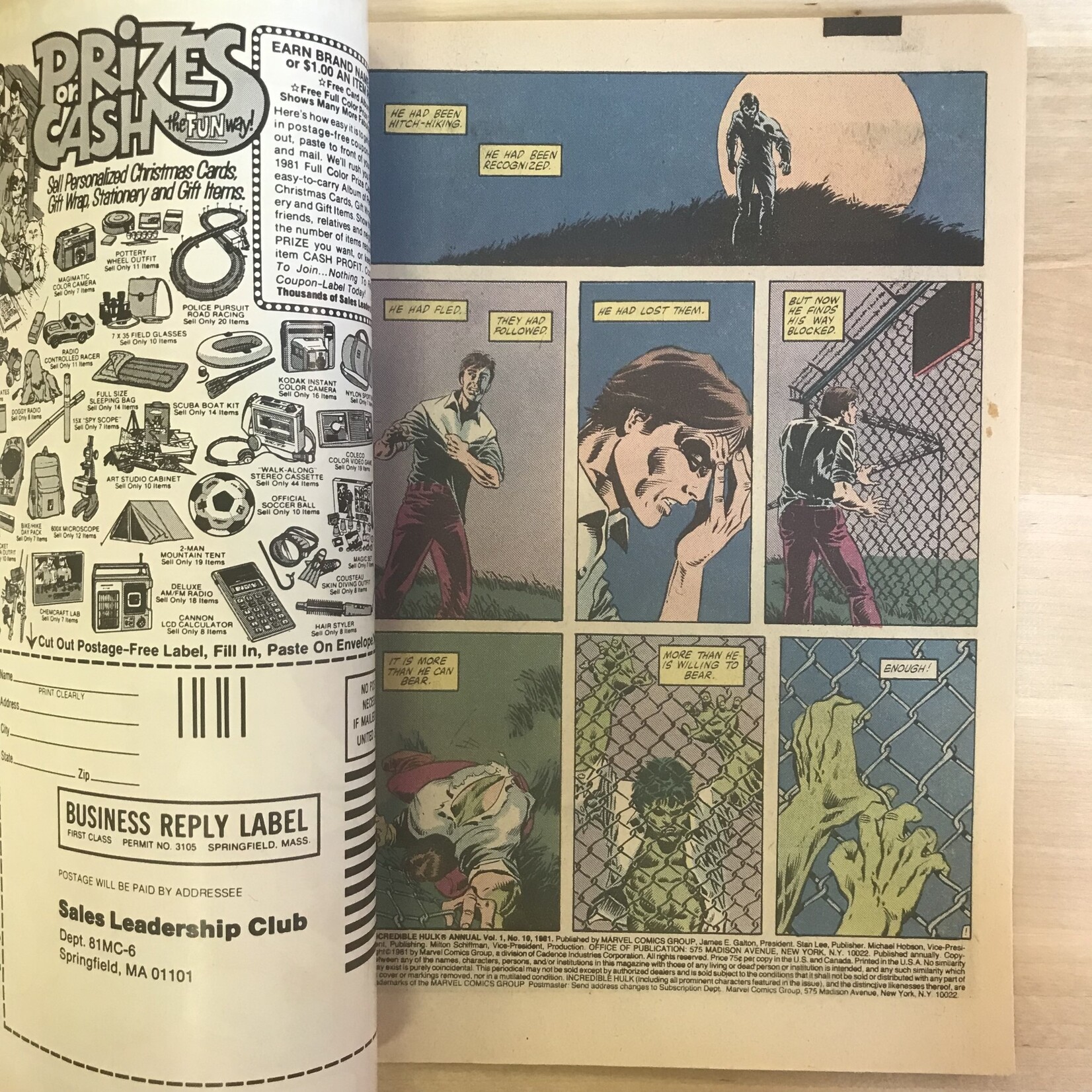 Hulk - Incredible Hulk Annual - #10 (1981) - Comic Book