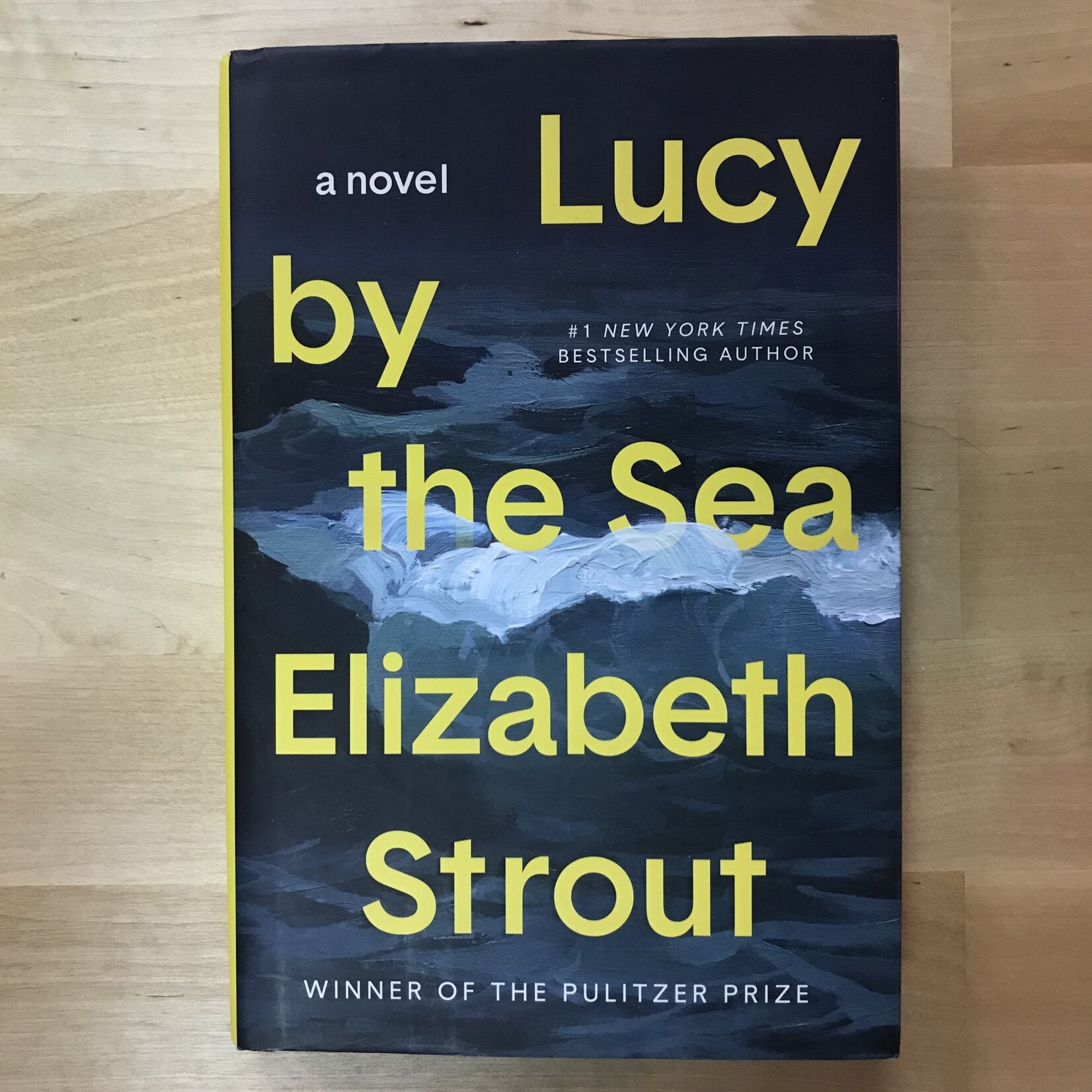 Elizabeth Strout - Lucy By The Sea - Hardback (USED - FE)
