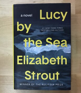 Elizabeth Strout - Lucy By The Sea - Hardback (USED - FE)