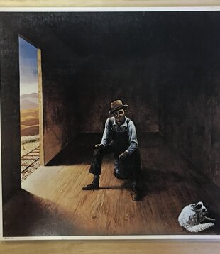 Don McLean - Homeless Brother - UA LA315G - Vinyl LP (USED)