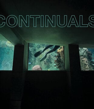 Continuals - Continuals - DIS197.5 - Vinyl LP (NEW)