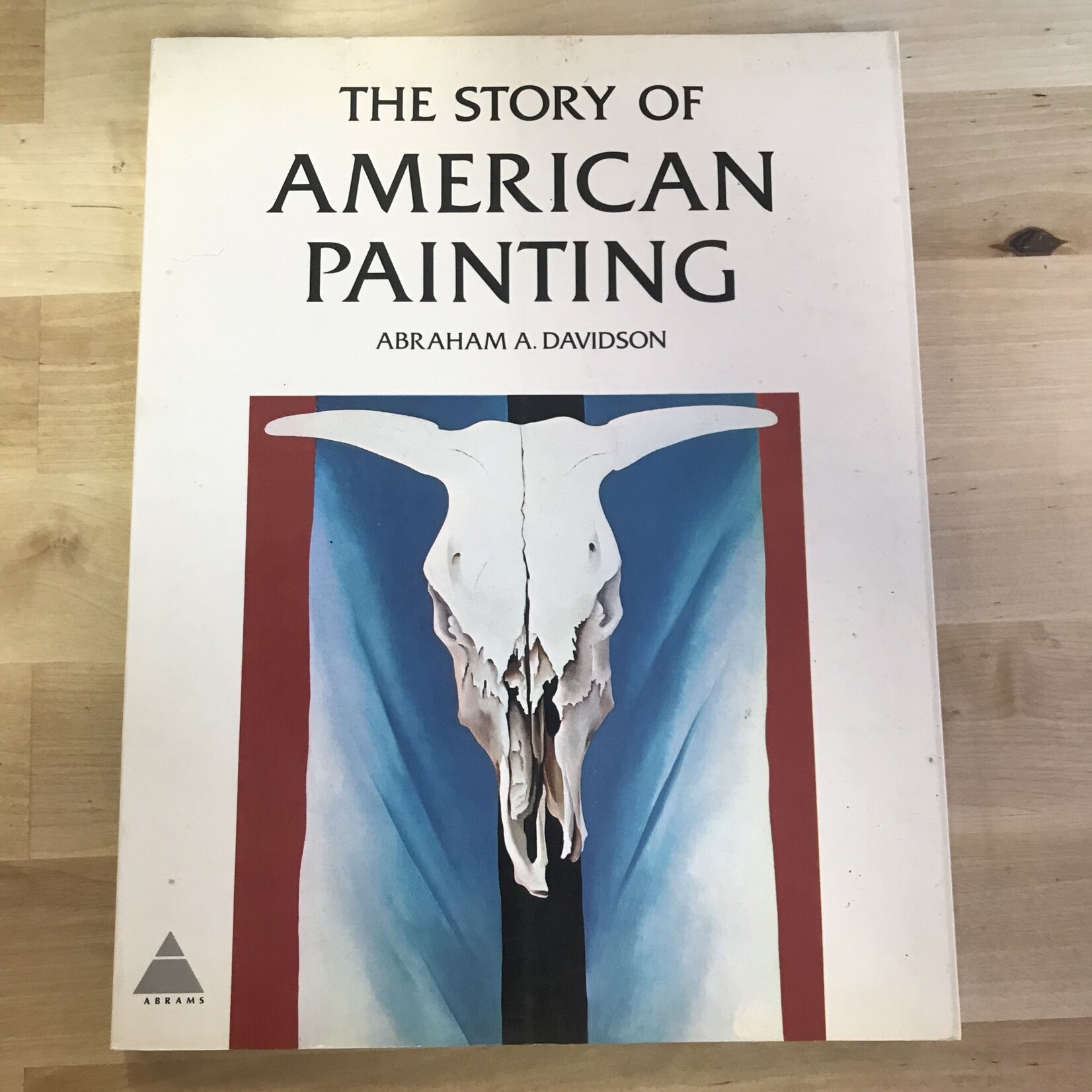 Abraham A. Davidson - The Story Of American Painting - Paperback (USED)
