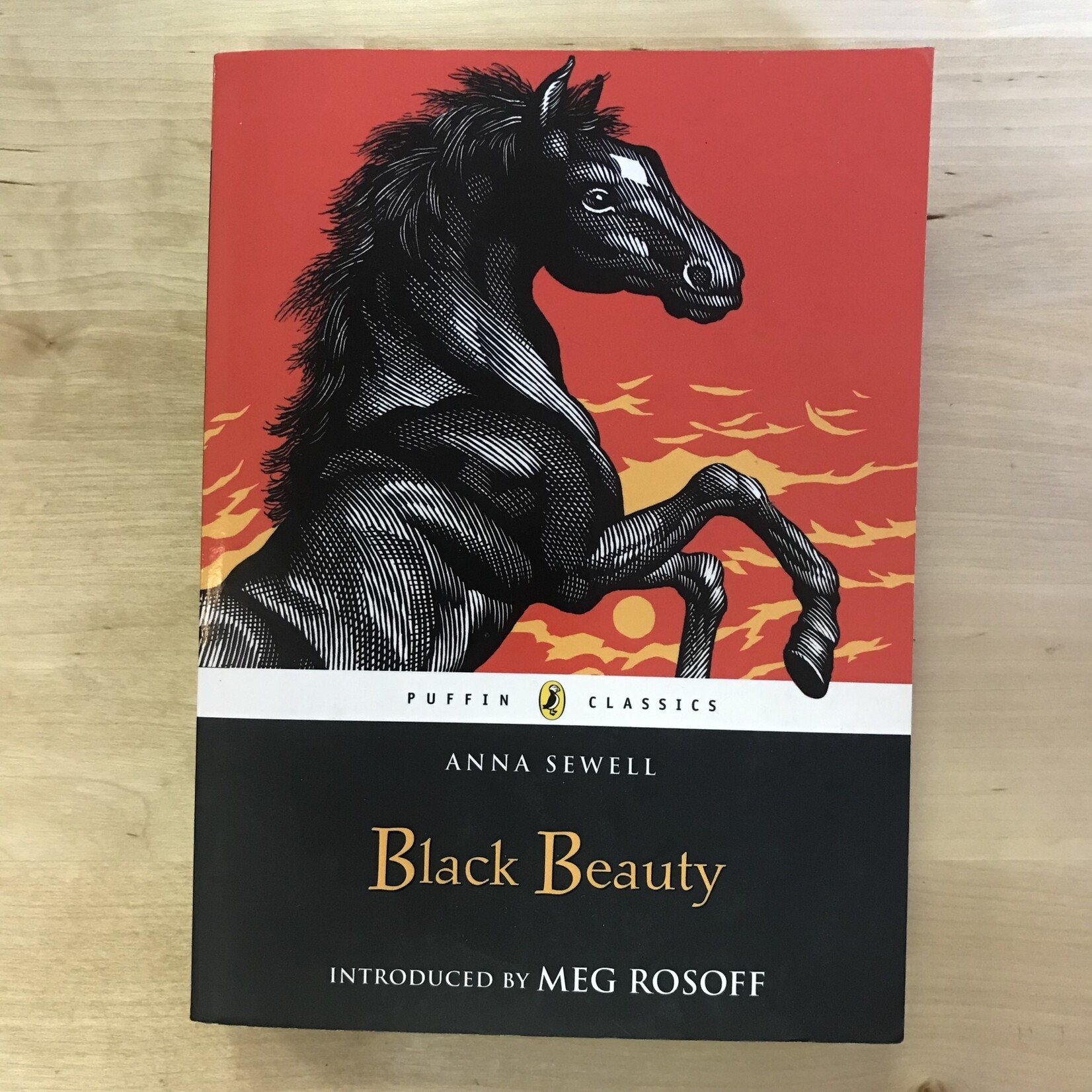 Anna Sewell - Black Beauty - Paperback (USED)