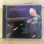 Dinosaur Jr. - Where You Been - CD (USED)