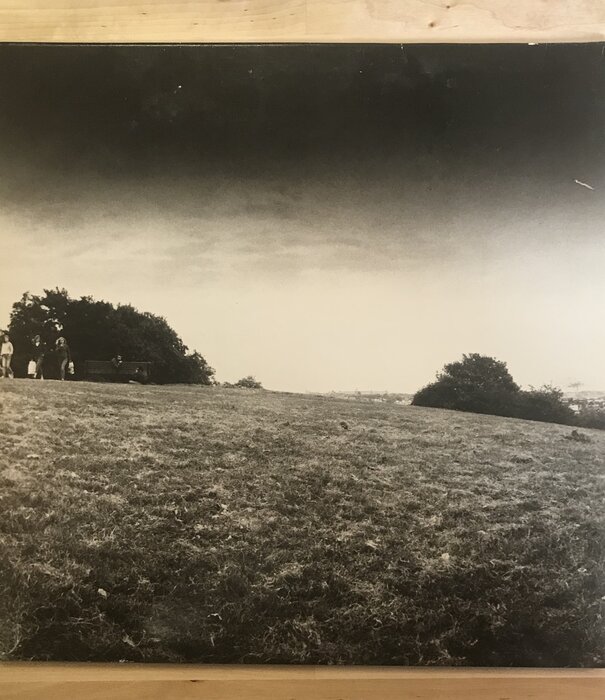 Madness - Presents The Rise And Fall - SEEZ46 - Vinyl LP (USED)