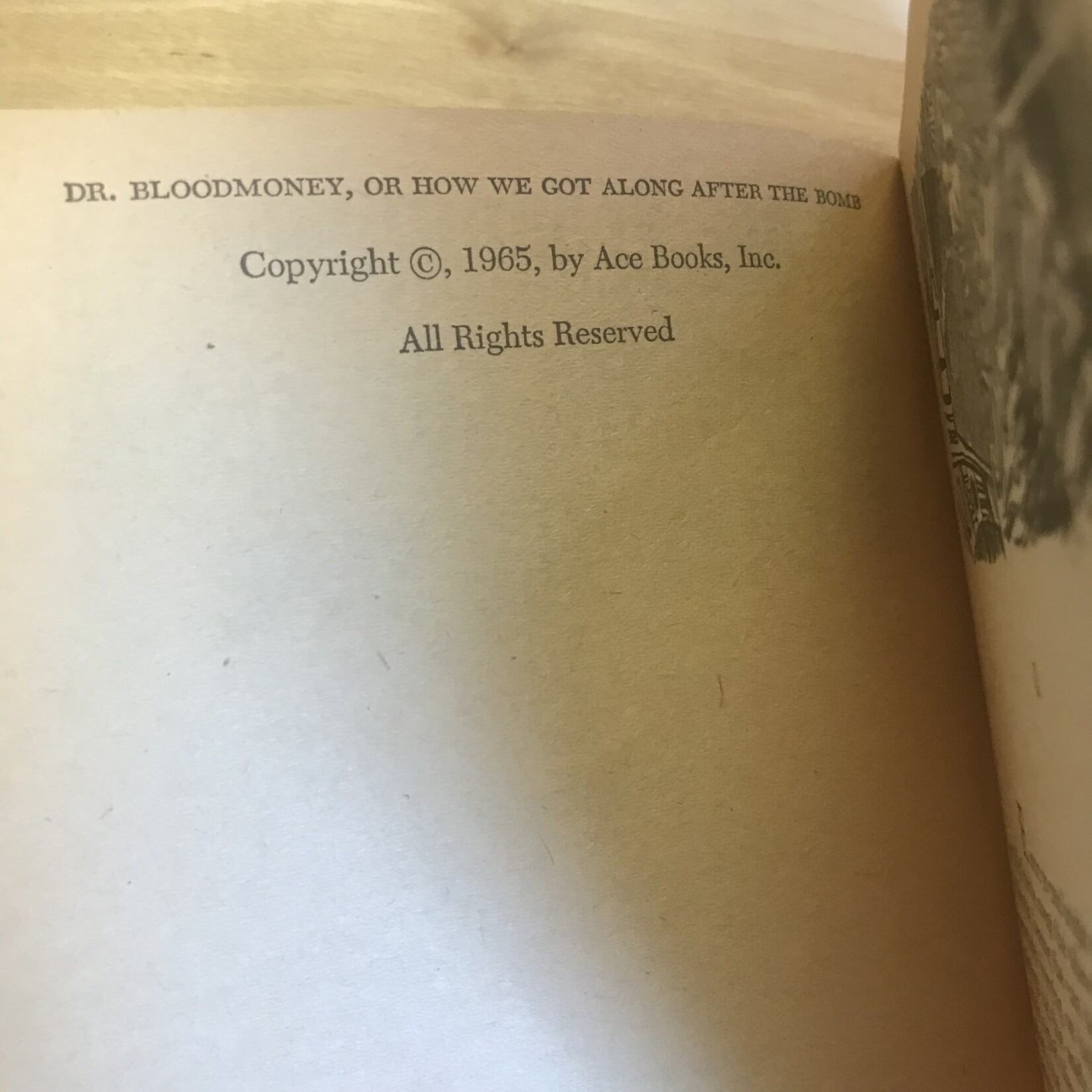 Philip K. Dick - Dr. Bloodmoney - Paperback (VINTAGE)