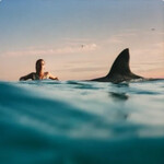 Dua Lipa - Radical Optimism (Red Vinyl) - WB726551 - Vinyl LP (NEW)