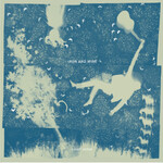 Iron And Wine - Light Verse (Loser Edition) - SUB1615 - Vinyl LP (NEW)