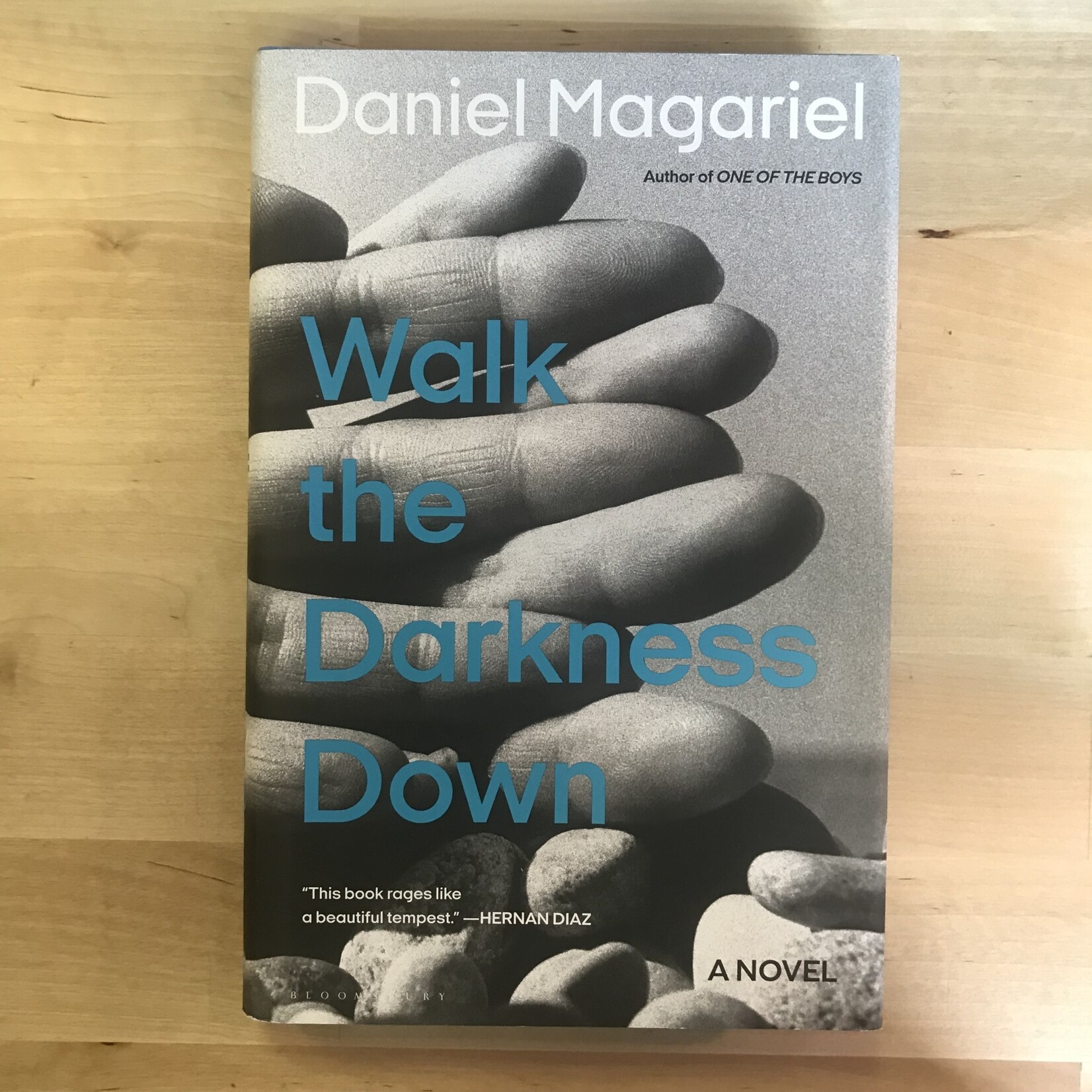Daniel Magariel - Walk The Darkness Down - Hardback (USED)