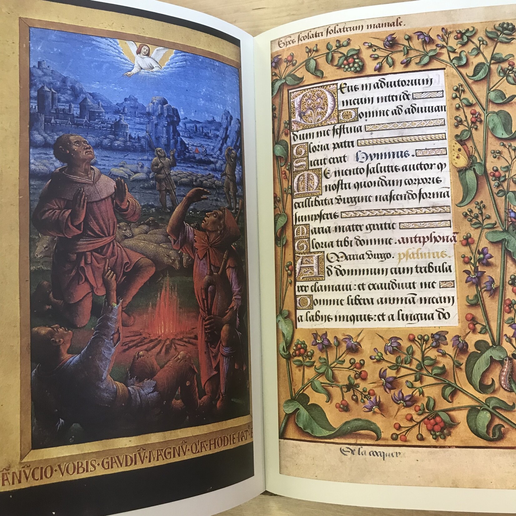 John Hathan - The Book Of Hours - Hardback (USED)