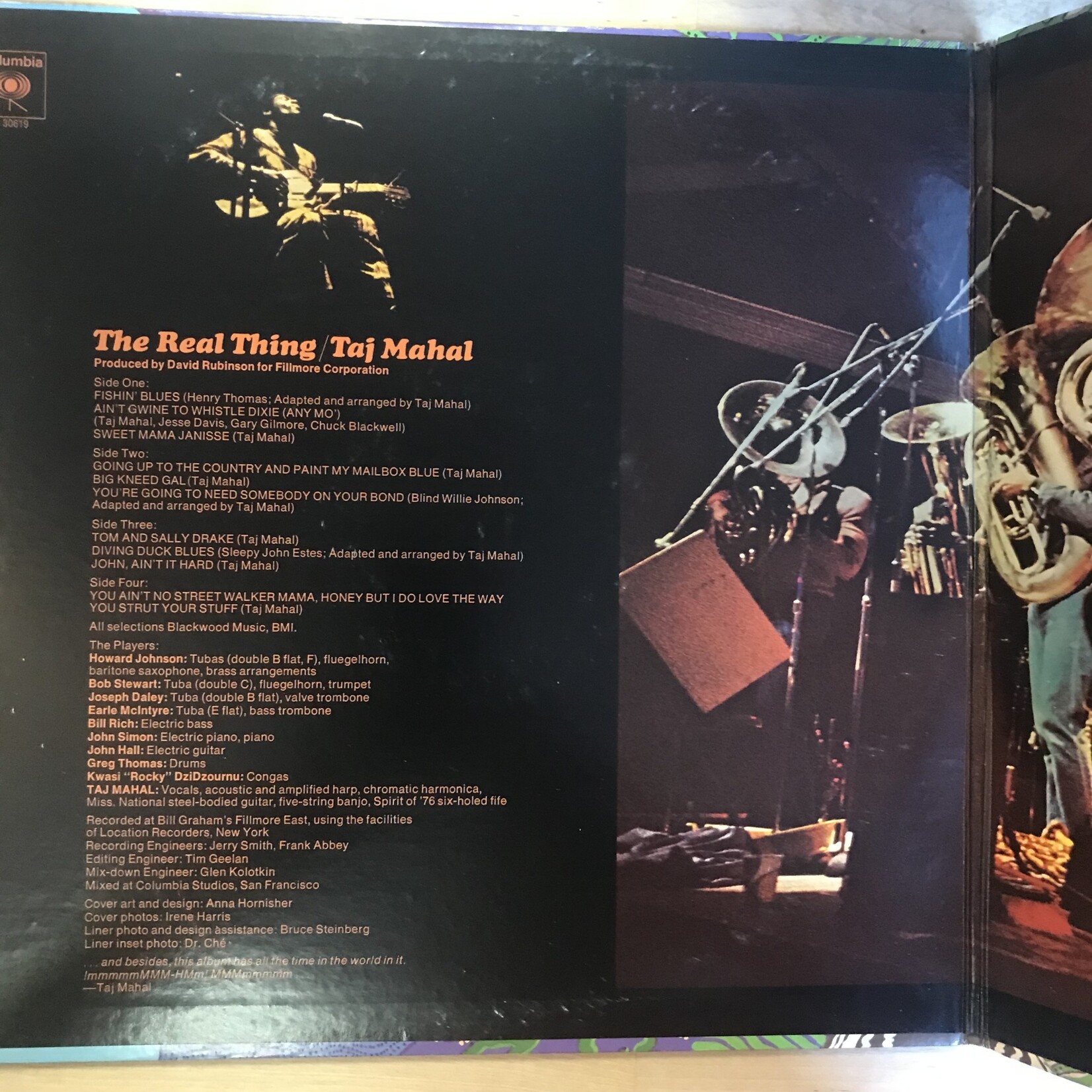Taj Mahal - The Real Thing - G30619 - Vinyl LP (USED)