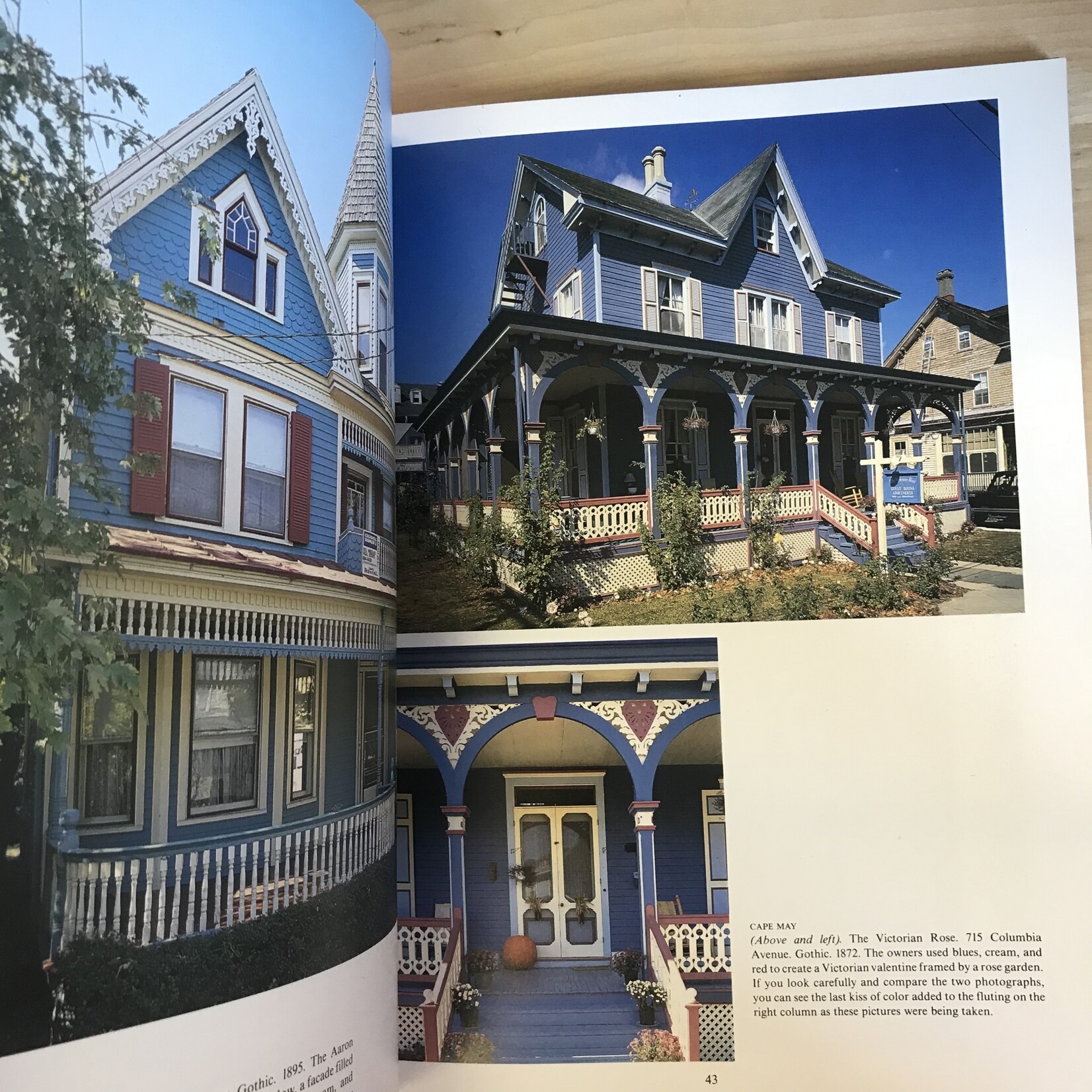 Elizabeth Pomada, Michael Larsen - Daughters Of Painted Ladies - Paperback (USED)