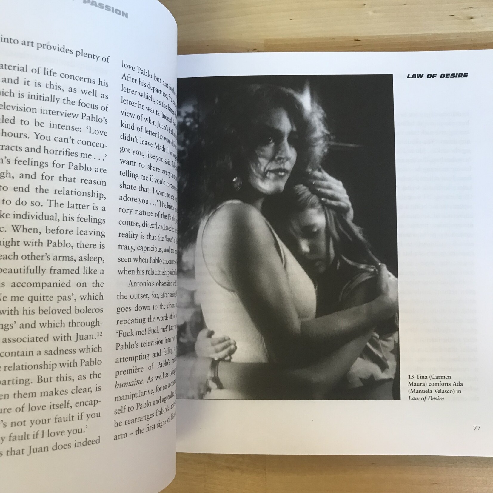 Gwynne Edwards - Almodovar: Labyrinths Of Passion - Paperback (USED)