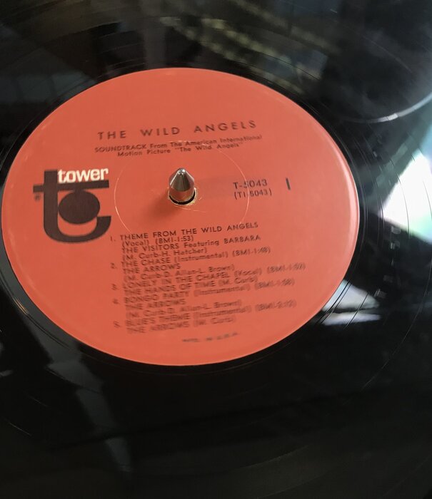 Wild Angels - Music From The Soundtrack Of The Motion Picture - T5043 - Vinyl LP (USED)
