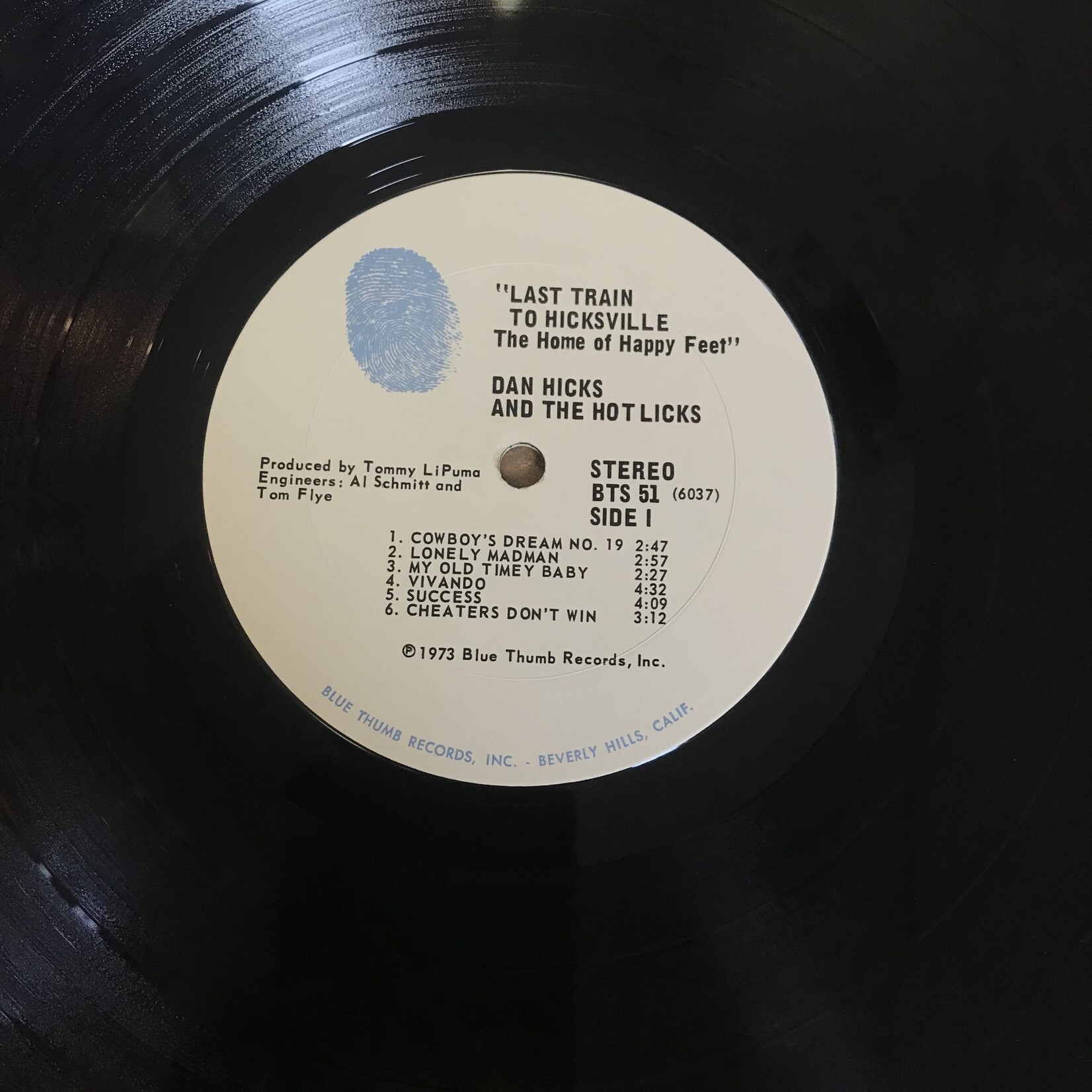 Dan Hicks - Last Train To Hicksville - BTS51 - Vinyl LP (USED)