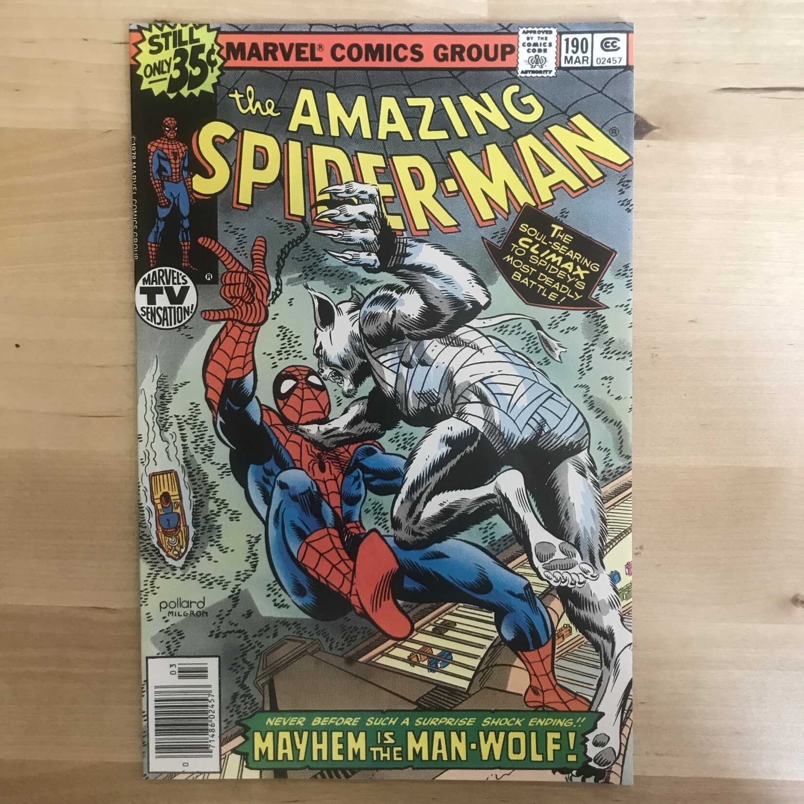 Spider-Man - Amazing Spider-Man - #190 March 1979 - Comic Book