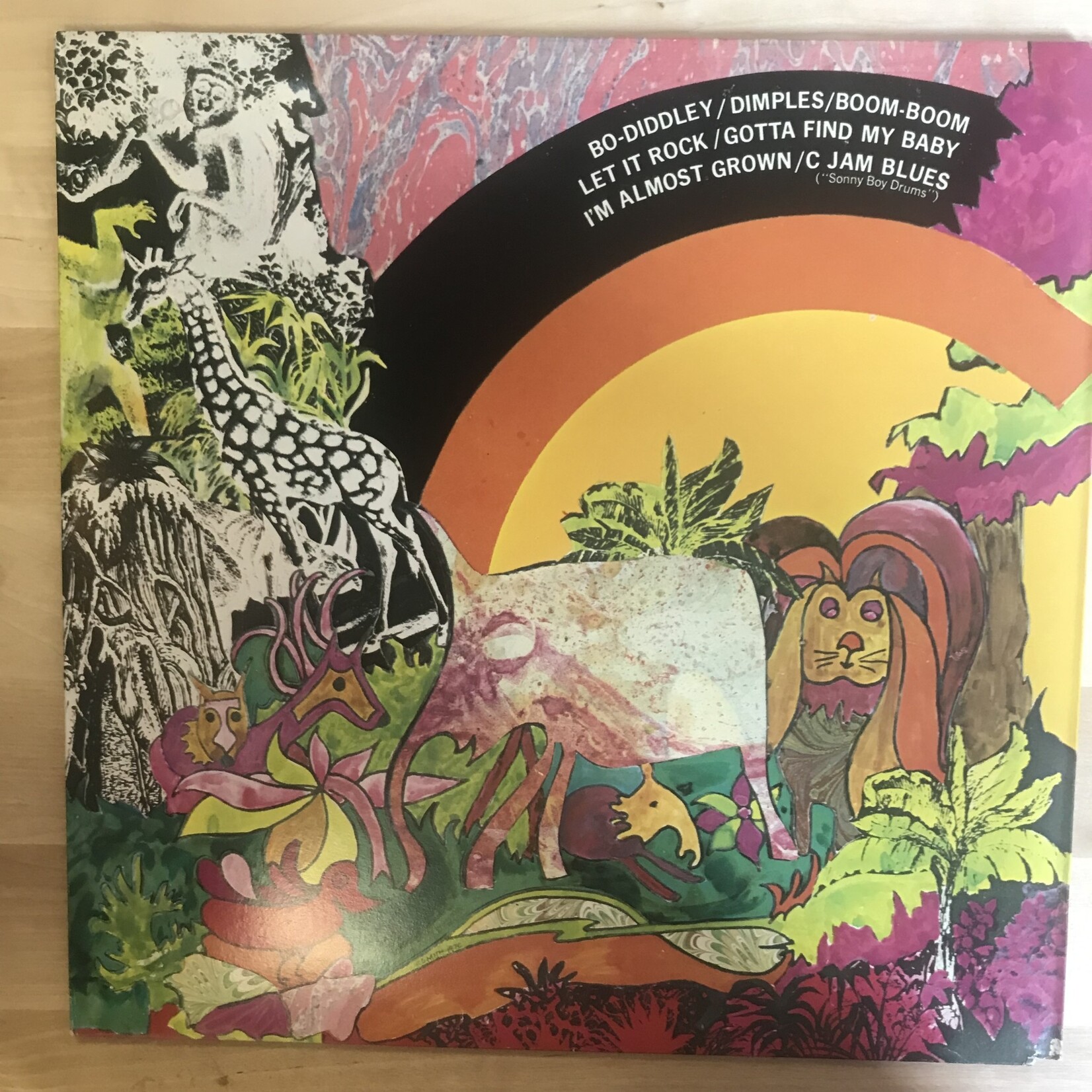 Animals (Eric Burdon) - In The Beginning - WDS 690 - Vinyl LP (USED)