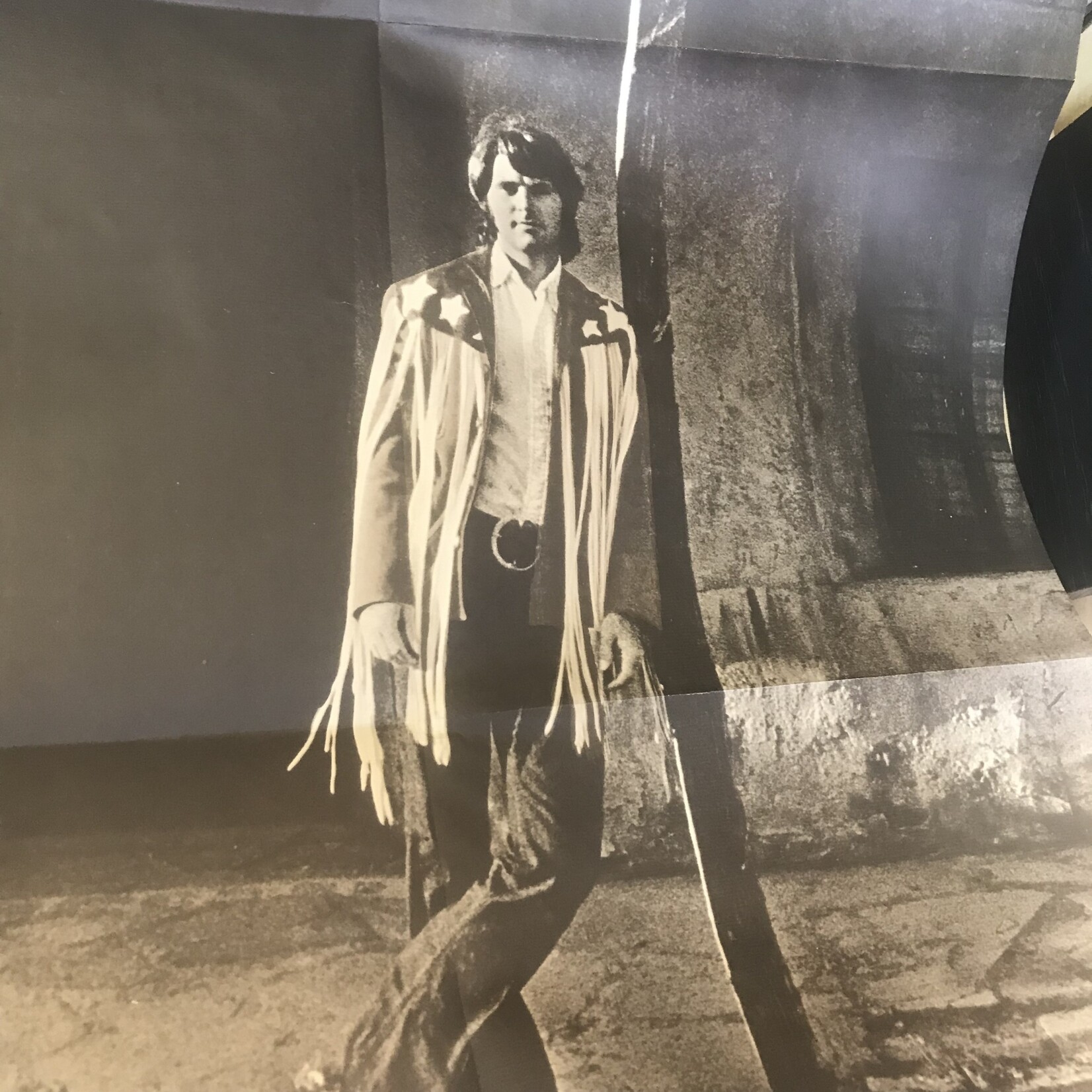Rick Nelson - Rick Sings Nelson - DL 75236 - Vinyl LP w/ Poster (USED)
