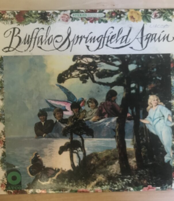 Buffalo Springfield - Buffalo Springfield Again - SD 33 226 - Vinyl LP (USED - RE)
