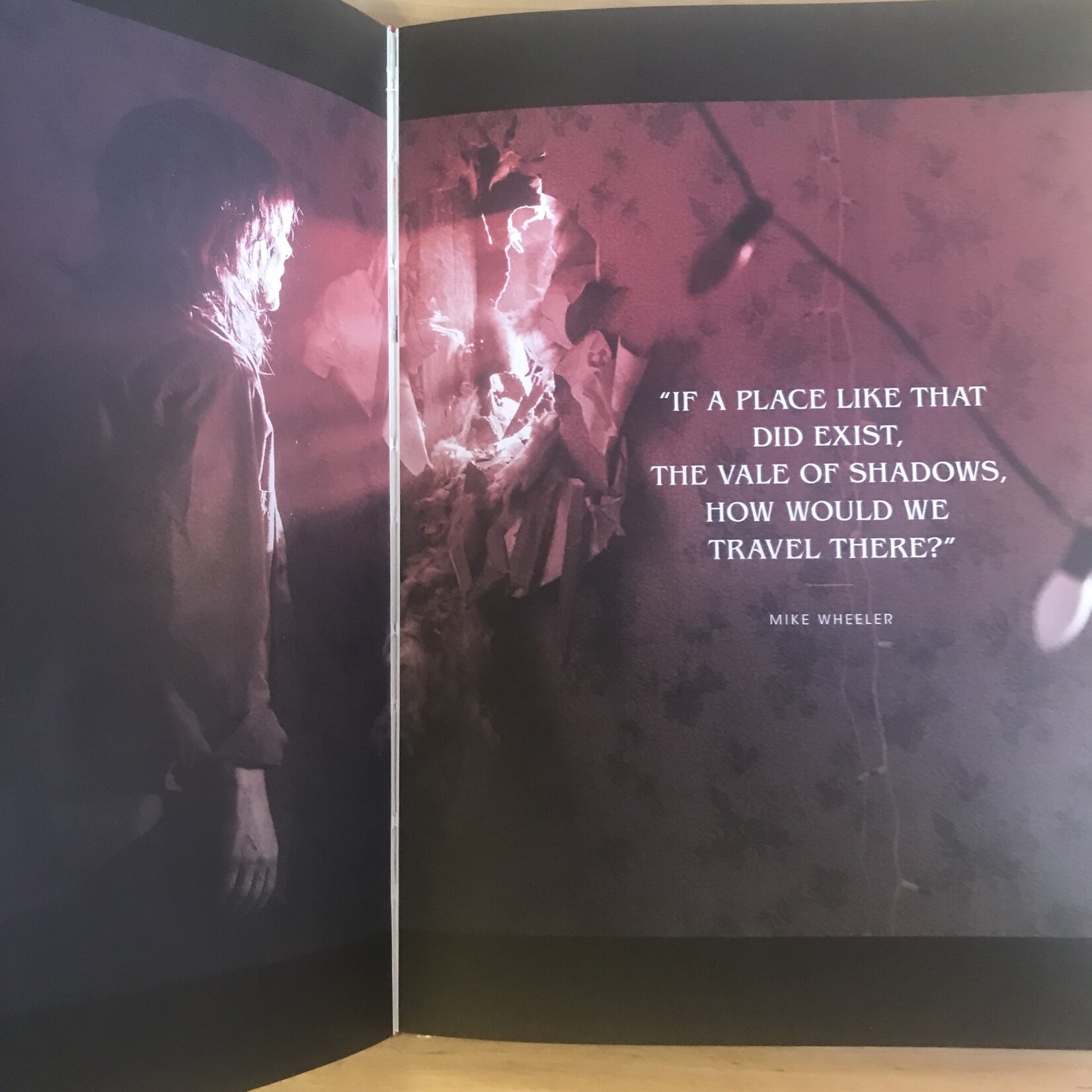 Strangers Things - Worlds Turned Upside Down - Hardback (USED)