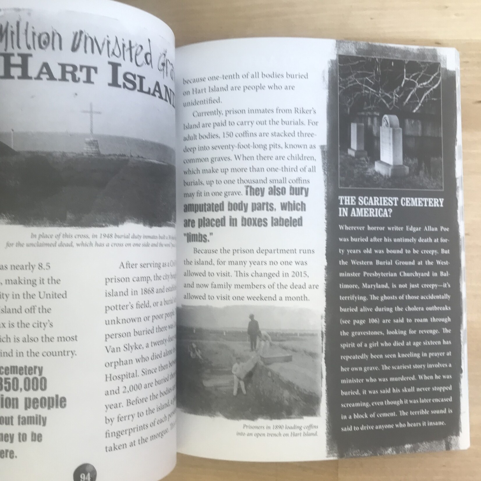 Dinah Williams - Terrible But True: Awful Events In American History - Paperback (USED)