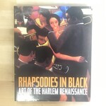 Rhapsodies In Black: Art Of The Harlem Renaissance - Paperback (USED)