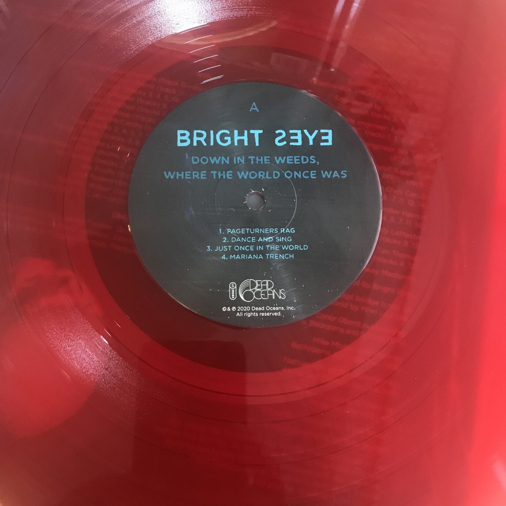 Bright Eyes - Down In The Weeds, Where The World Once Was - DOC210LP C1 - Vinyl LP (USED)