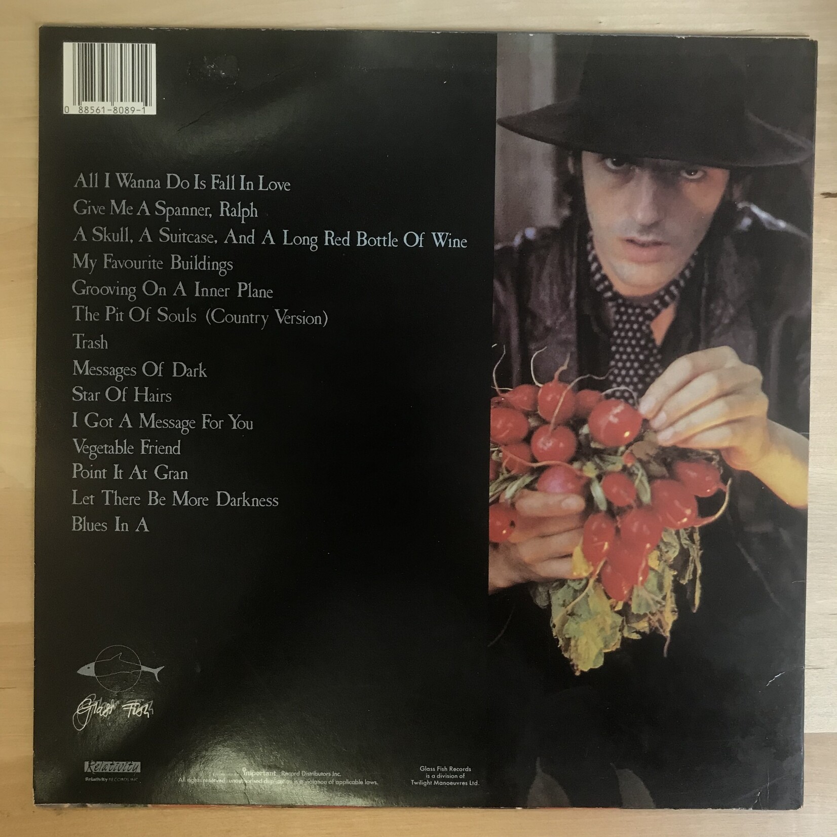 Robyn Hitchcock - Invisible Hitchcock - 88561 8099 1 - Vinyl LP (USED)