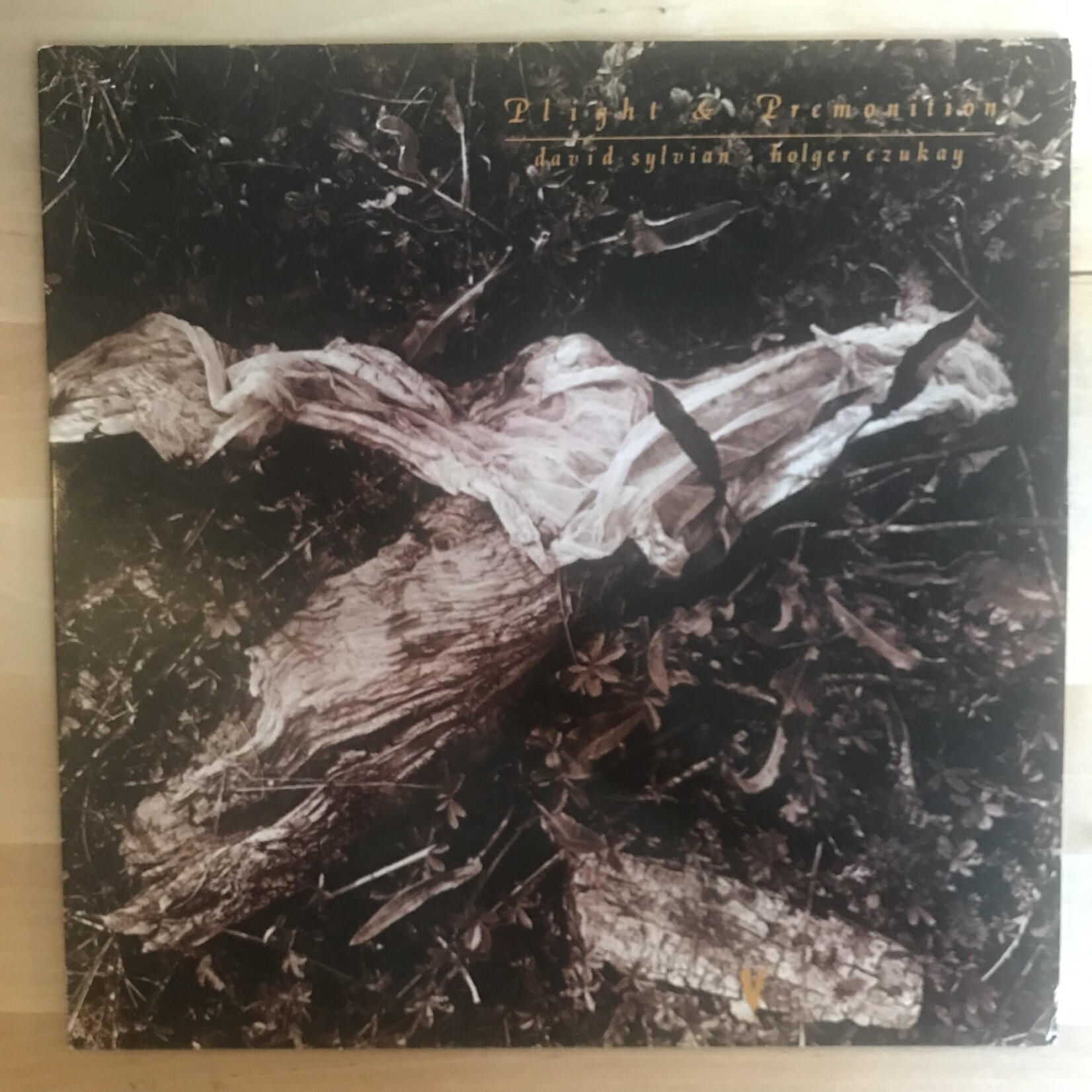 David Sylvian, Holger Czukay - Plight & Premonition - 1 90904 - Vinyl LP (USED)