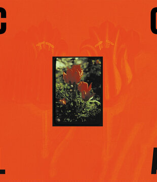 Cola - The Gloss (Transparent Olive) - LP-FTK-274IE - Vinyl LP (NEW)