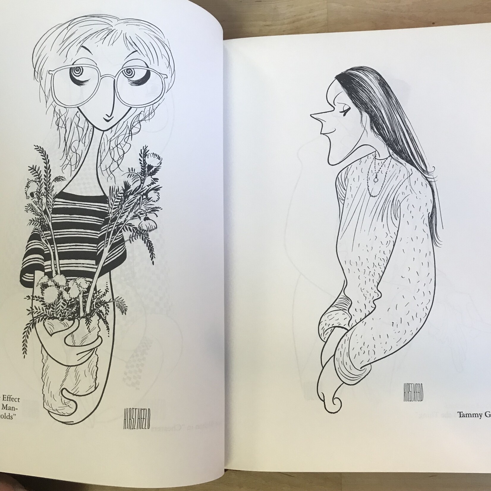 Al Hirschfeld - Hirschfeld By Hirschfeld - Hardback (USED)
