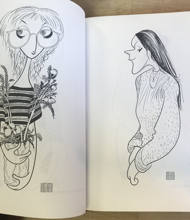 Al Hirschfeld - Hirschfeld By Hirschfeld - Hardback (USED)