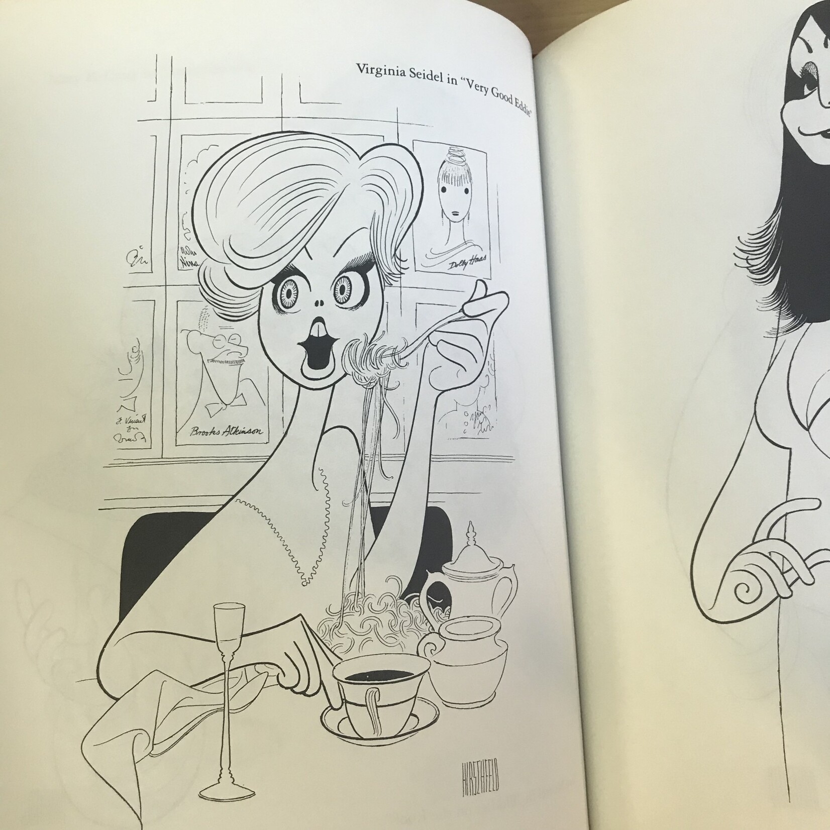 Al Hirschfeld - Hirschfeld By Hirschfeld - Hardback (USED)