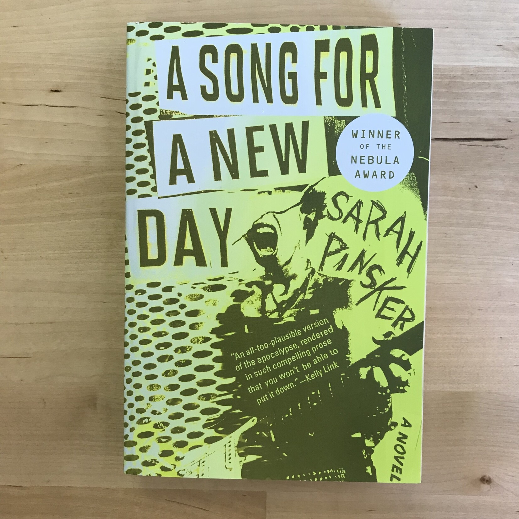 Sarah Pinkser - A Song For A New Day - Paperback (NEW)