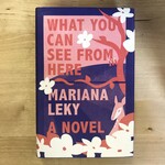 Mariana Leky - What You Can See From Here - Hardback (USED)