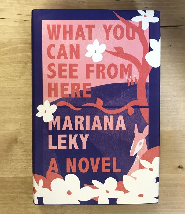 Mariana Leky - What You Can See From Here - Hardback (USED)