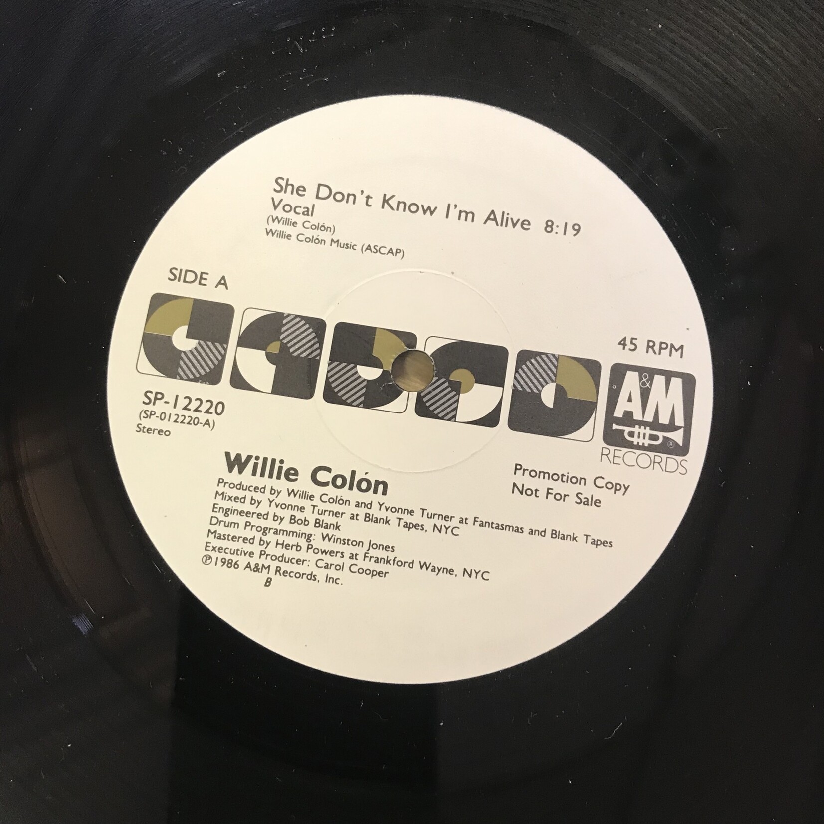 Willie Colon - She Don't Know I'm Alive (PROMO) - SP 0012 - Vinyl 12-Inch Single (USED)