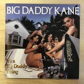 Big Daddy Kane - It’s A Big Daddy Thing - CD (USED)