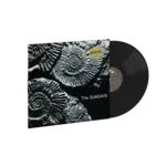 Sundays - Reading, Writing & Arithmetic (High Fidelity) - Vinyl LP (NEW)