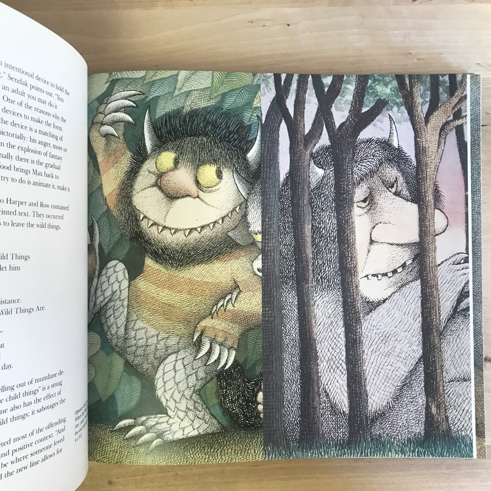 Selma G. Lanes - The Art Of Maurice Sendak - Hardback (USED)