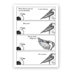 Pelican Birthday - Greeting Card (NEW)
