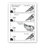 Pelican Birthday - Greeting Card (NEW)