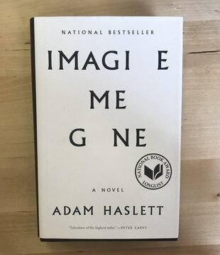 Adam Haslett - Imagine Me Gone - Hardback (USED)