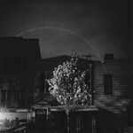 Open City - Hands In The Honey Jar - LP-GBR-157C - Vinyl LP (NEW)